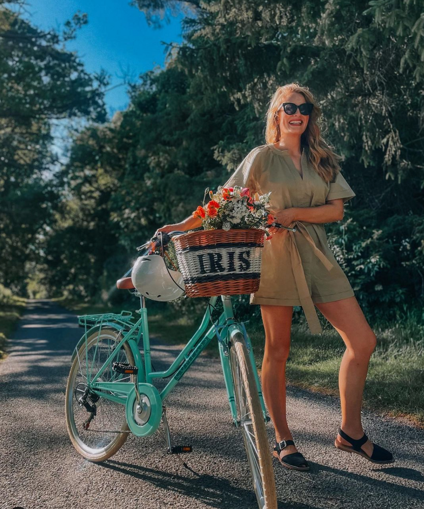 Wicker best sale bike panniers